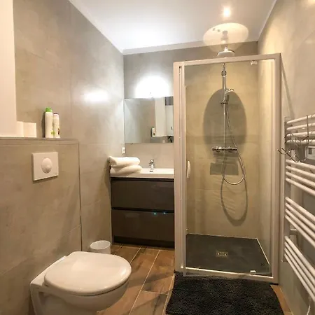 شقة Charming - Center Cosy كولمار